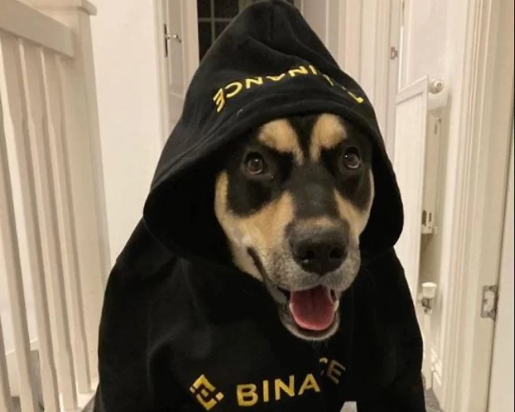 DogWifHood Binance.v1